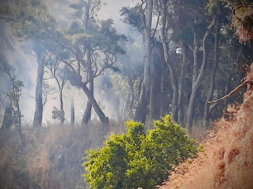 La Municipalidad recuerda tomar recaudos para evitar incendios
