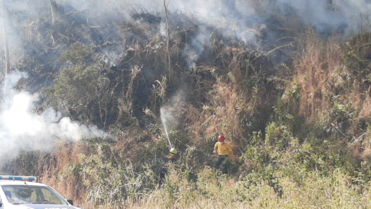 En General Pueyrredon disminuyeron los incendios forestales