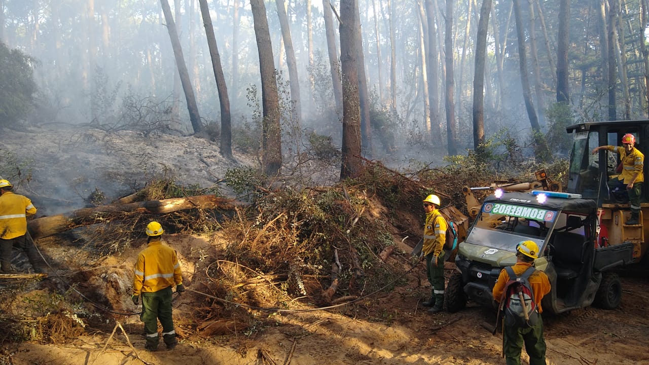 Ayuda marplatense para apagar incendios forestales en Cariló y Tandil