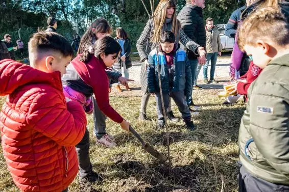 Plan Forestar: el Municipio plantó más de 1300 árboles en distintos barrios de la ciudad