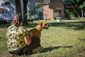 Nuevas ubicaciones de los quirófanos móviles para animales