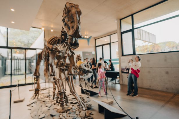 Museo Scaglia: actividades para toda la familia en la última semana de enero