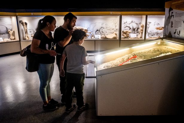 Exploración, ciencia y aventura: el Museo Scaglia renueva su propuesta para febrero