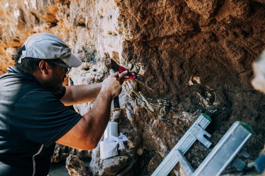 Secretos de la prehistoria en la playa: el Museo Scaglia invita a una salida educativa