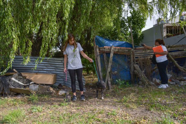 El Municipio rescató seis animales víctimas de abandono del barrio Villa Evita