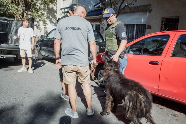 Nuevo rescate de un animal abandonado en España al 900