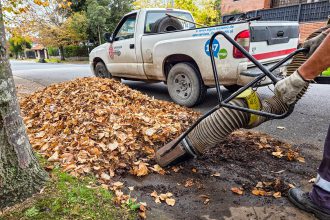 El Municipio refuerza la limpieza urbana durante el otoño