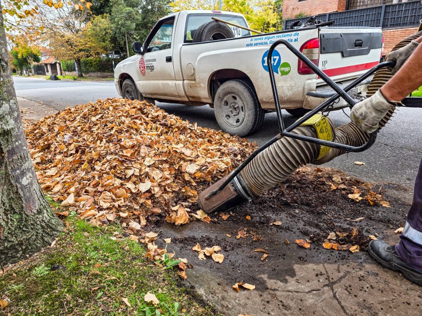 El Municipio refuerza la limpieza urbana durante el otoño