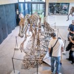 El Municipio celebrará el Día Internacional de los Museos con una amplia agenda cultural en distintos espacios de la ciudad