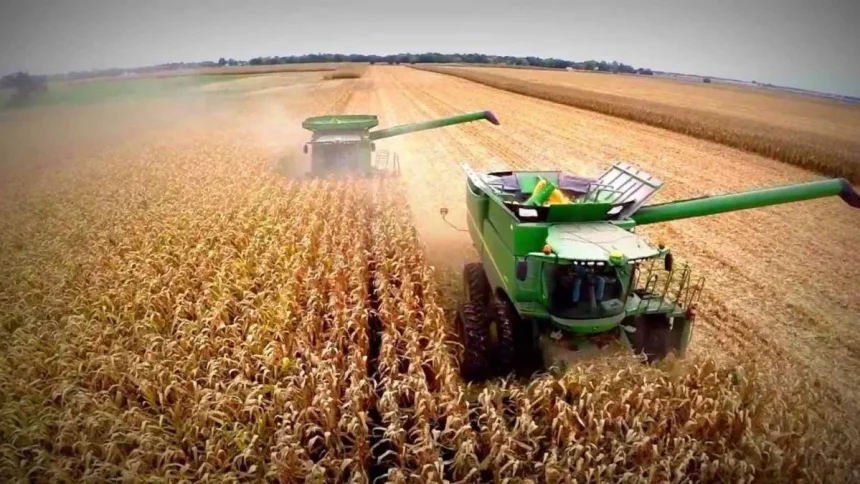 El Gobierno de Javier Milei dispuso el retorno de las retenciones para la soja y el maíz