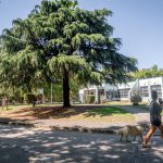 Rock, danza comunitaria y talleres creativos: la Biblioteca Parlante abre su programación de julio