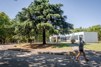 Rock, danza comunitaria y talleres creativos: la Biblioteca Parlante abre su programación de julio
