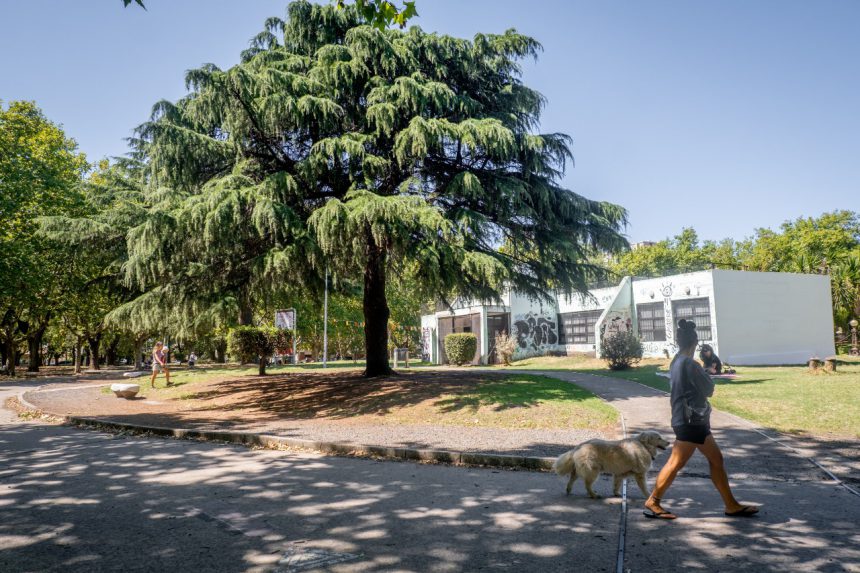 Rock, danza comunitaria y talleres creativos: la Biblioteca Parlante abre su programación de julio