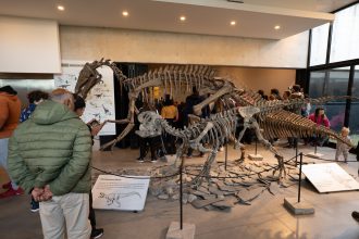 Actividades en el Museo Scaglia: muestras, talleres y ciencia para toda la familia