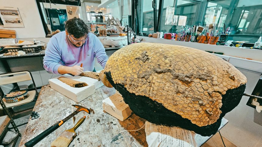 Un gliptodonte bebé es el nuevo hallazgo paleontológico marplatense