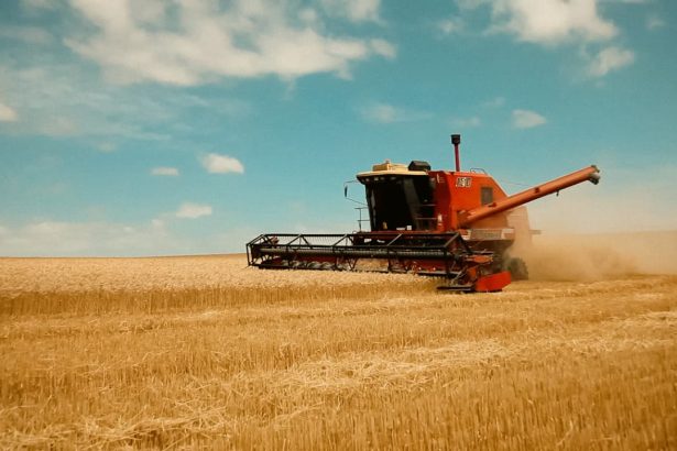Se realizará en Mar del Plata una nueva edición del Simposio de Residuos Agropecuarios y Agroindustriales