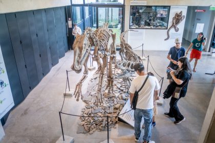 Actividades en el Museo Scaglia: ciencia y charlas especiales