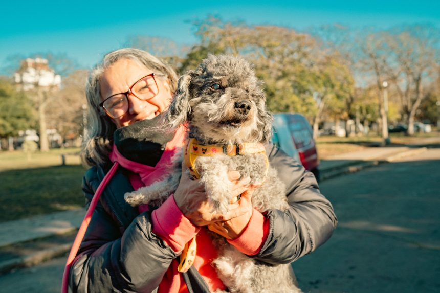 Nuevas ubicaciones de los quirófanos móviles para animales y vacunación antirrábica