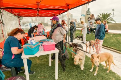 Nuevas ubicaciones de los quirófanos móviles para animales y vacunación antirrábica