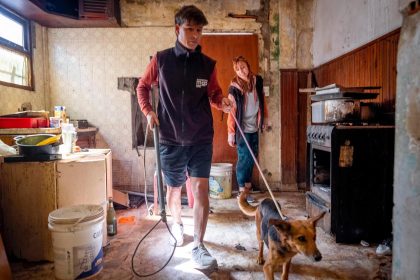 El Municipio retiró ocho animales de una vivienda usurpada