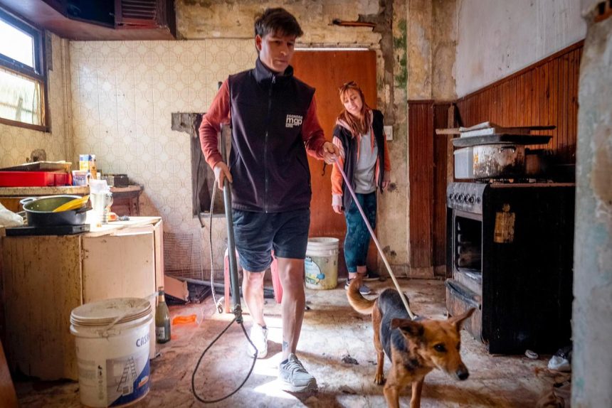 El Municipio retiró ocho animales de una vivienda usurpada