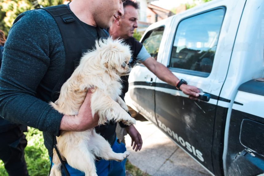 El Municipio retiró 18 perros por estado de abandono en dos viviendas