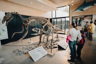 El Museo Scaglia presenta sus propuestas de noviembre