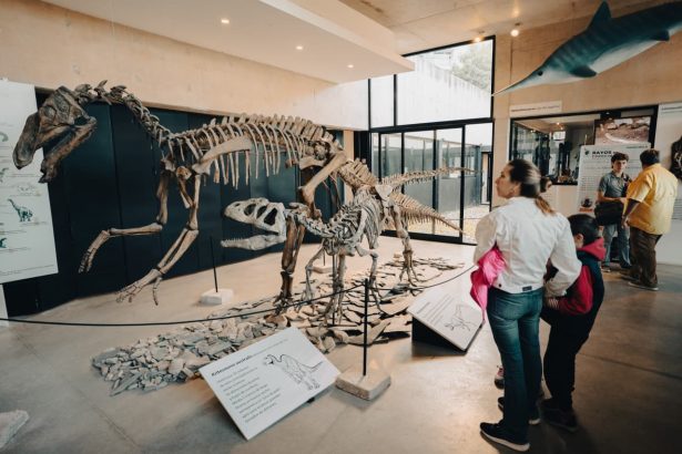 El Museo Scaglia presenta sus propuestas de noviembre