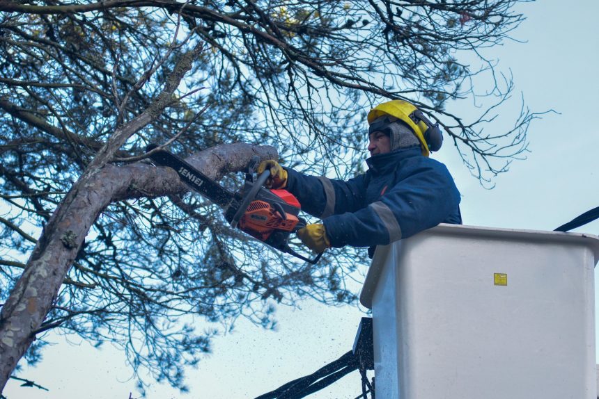 El Municipio realizó más de 1900 intervenciones de poda y asistencia ante emergencias