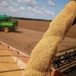 Luis Caputo anunció una baja de retenciones a las exportaciones de granos