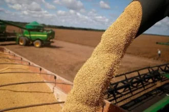 Luis Caputo anunció una baja de retenciones a las exportaciones de granos