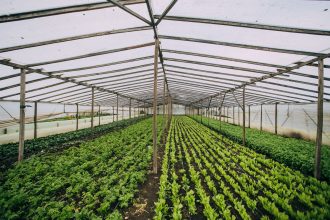 El Banco de Insumos continúa respaldando a la producción local