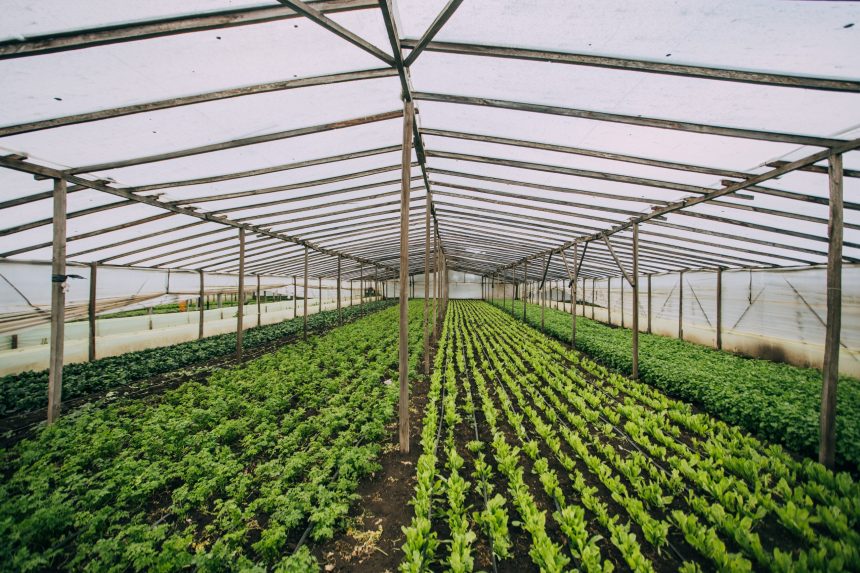 El Banco de Insumos continúa respaldando a la producción local