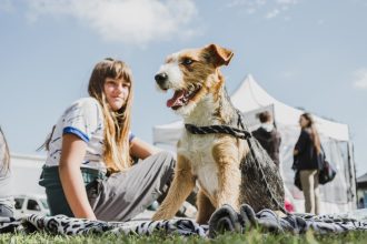 Nuevas ubicaciones de los quirófanos móviles para animales