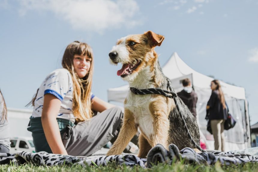 Nuevas ubicaciones de los quirófanos móviles para animales