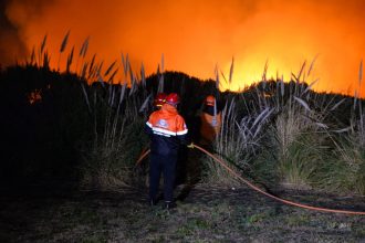 El Municipio informa las medidas de prevención ante el riesgo de incendios forestales