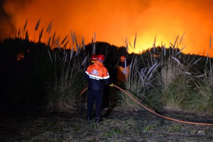 El Municipio informa las medidas de prevención ante el riesgo de incendios forestales