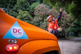 El Municipio dio respuesta en más de 30 intervenciones debido a los fuertes vientos