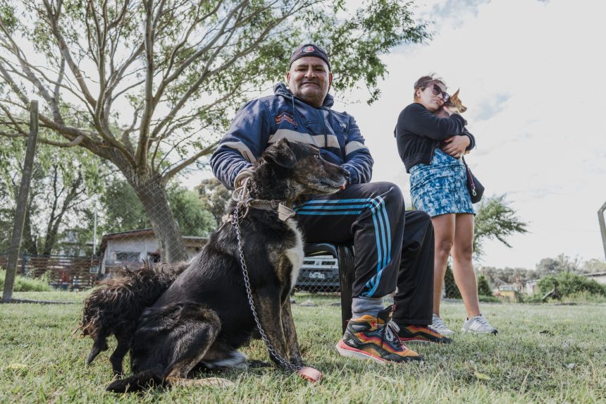 Nuevas ubicaciones de los quirófanos móviles para animales