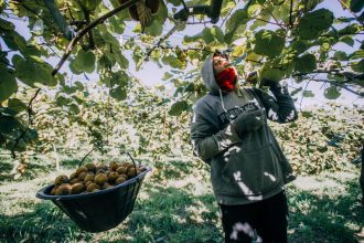 Producción, capacitación e innovación marcaron el año del Municipio en el sector agropecuario