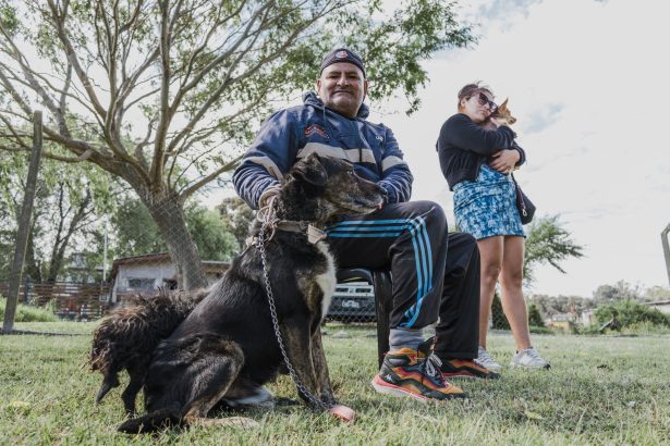 Nuevas ubicaciones de los quirófanos móviles para animales