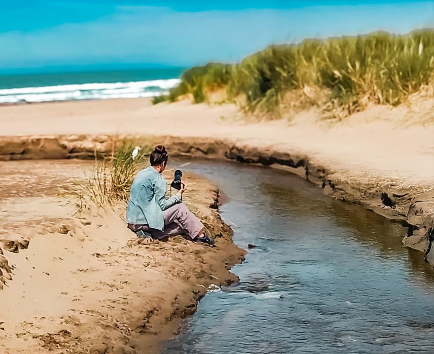El Museo Scaglia organiza una Salida Entomológica a la Reserva del Puerto
