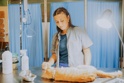 Nuevas ubicaciones de los quirófanos móviles para animales