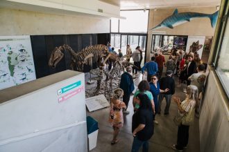 Con una observación astronómica, el Museo Scaglia renueva su propuesta de actividades para febrero