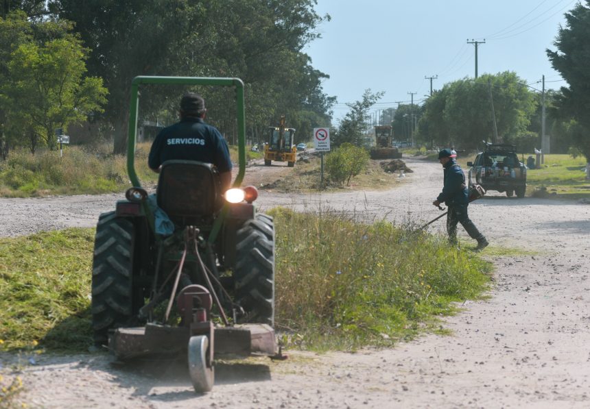 El Municipio realizó trabajos de puesta en valor del cantero central de la calle Einstein entre Mario Bravo y Jorge Newbery