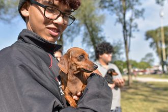 Nuevas ubicaciones de los quirófanos móviles para animales