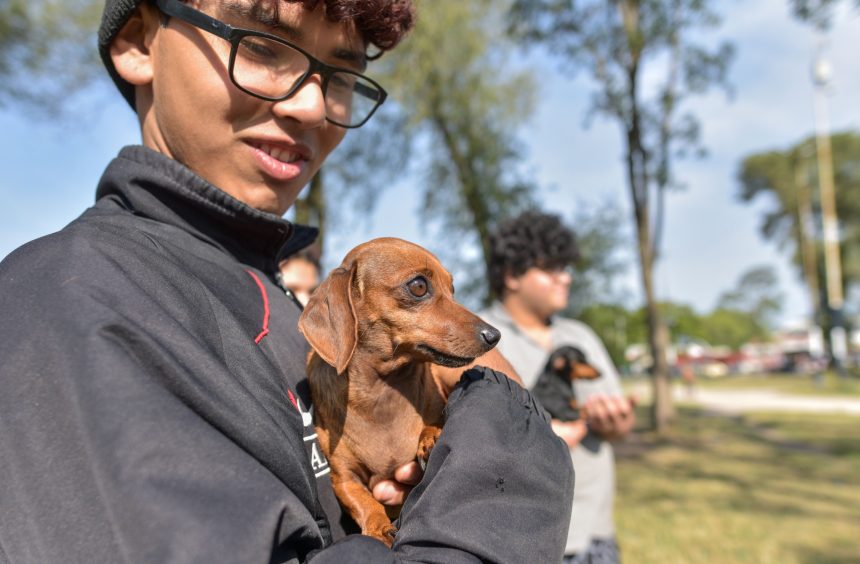 Nuevas ubicaciones de los quirófanos móviles para animales