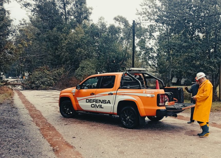 El Municipio continúa con tareas de asistencia y prevención tras el alerta por tormentas y vientos en la ciudad