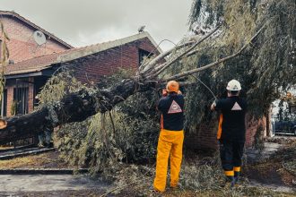 El Municipio intervino en la caída de 31 árboles y 28 postes tras la tormenta y fuertes vientos en la ciudad