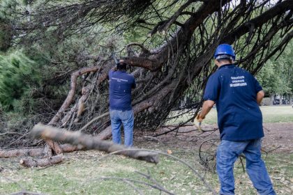 El Municipio realizó trabajos de puesta en valor en el Parque Primavesi